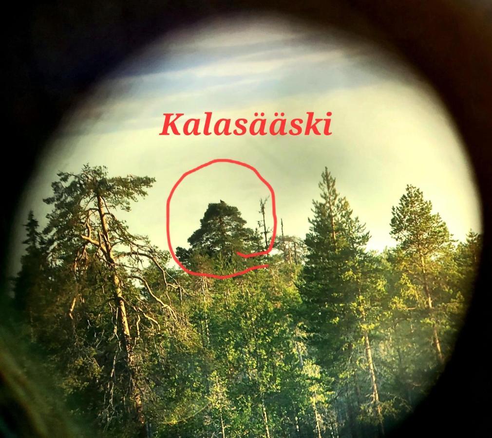 Salen Saunamoekki Villa Ranua Exteriör bild